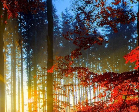 粉象生活赚钱教程