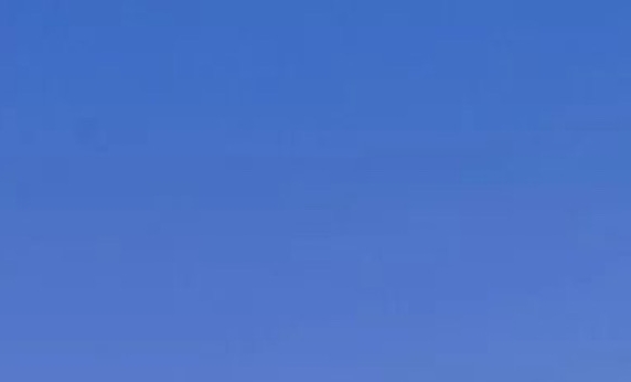 浙江有谁知道粉象生活市场行情