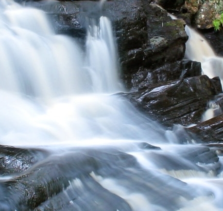 粉象生活是干嘛的