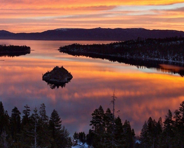 粉象生活虚假交易