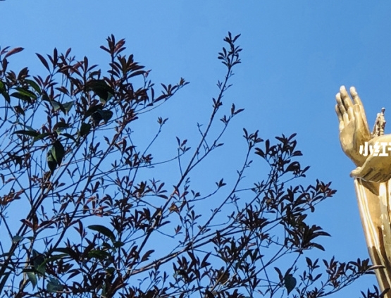 粉象生活怎么赚钱