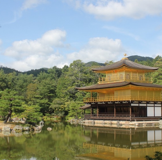 粉象生活改变轨迹