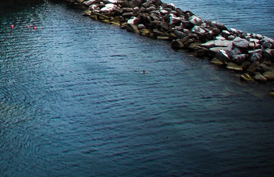 粉象生活能赚到钱吗