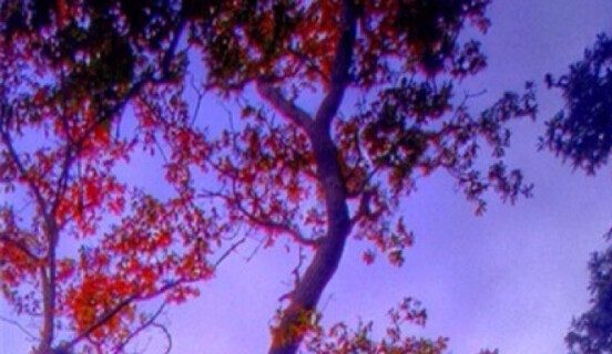 粉象生活中奖是真的吗