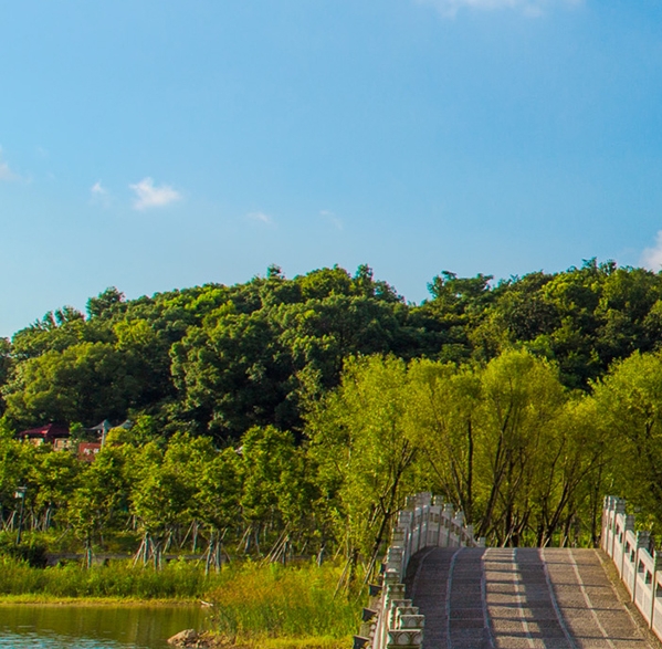 粉象生活的分销怎么样