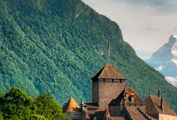 粉象生活新人期