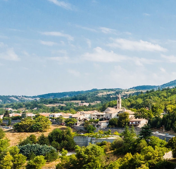 抖音粉象生活是什么