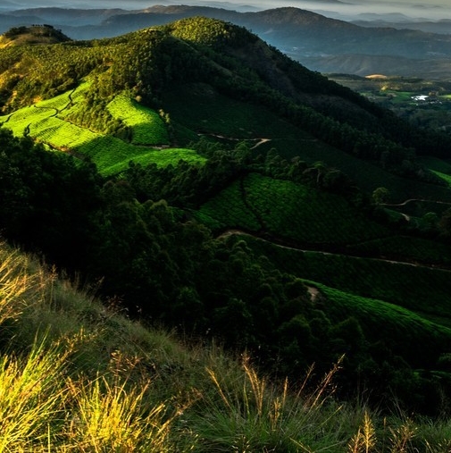 粉象生活下载app