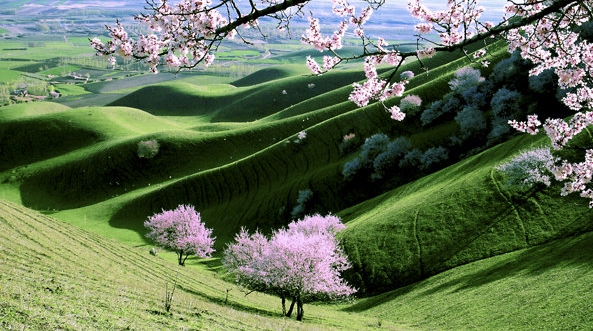 app账号怎么改地区