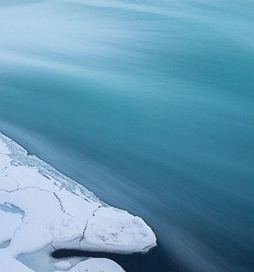 粉象生活下载官方安装