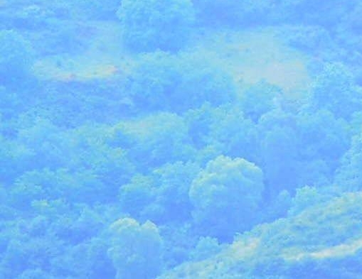 珠海粉象生活团队