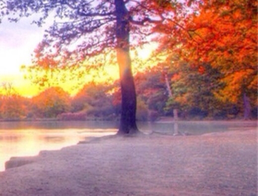 粉象生活怎么赚钱