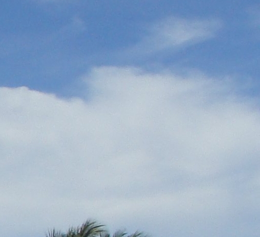 注册粉象生活有风险吗