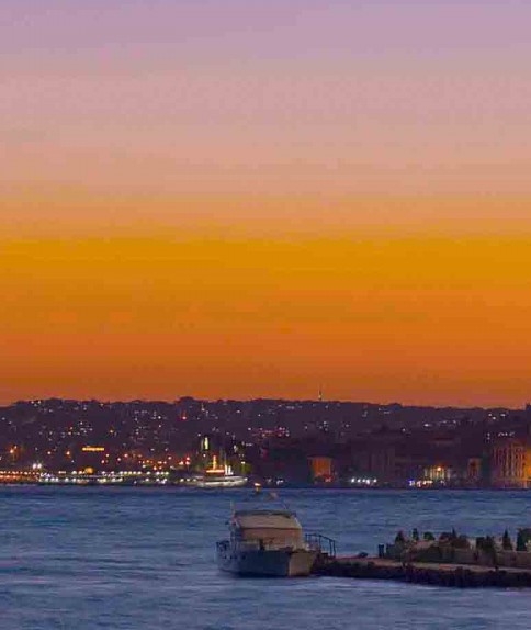 大鱼和粉象生活