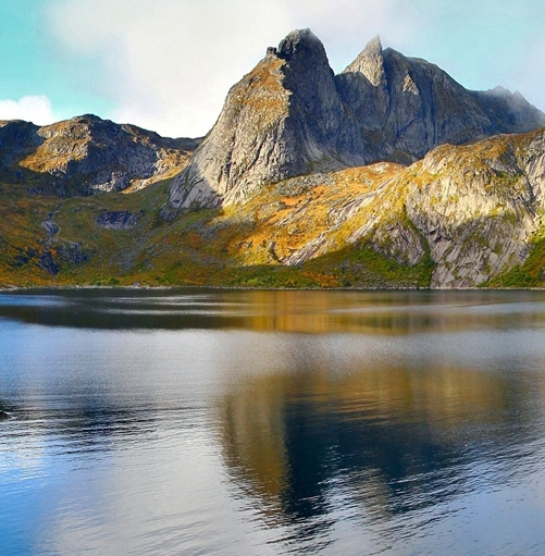 粉象生活公司信息粉象生活