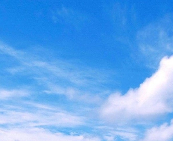 粉象生活怎么升级会员