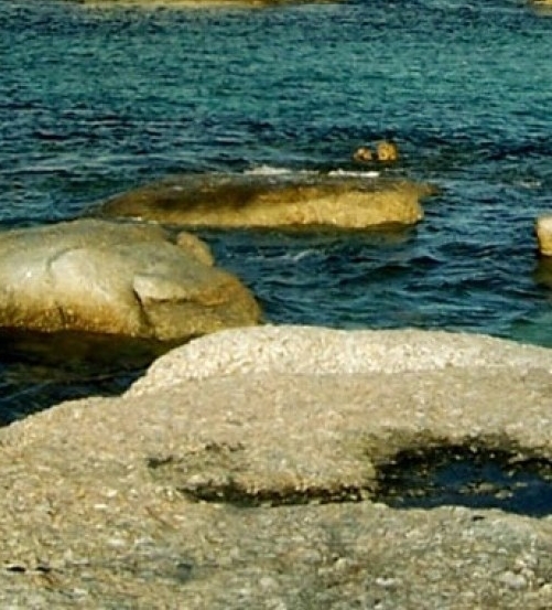 粉象vip是永久的吗