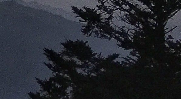 粉象生活粉丝怎么增加