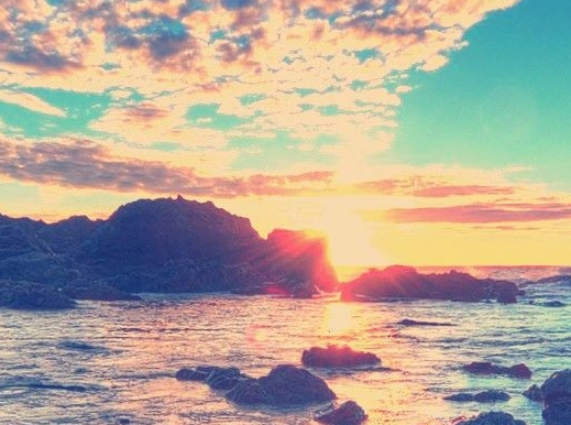 广州粉象生活怎么样