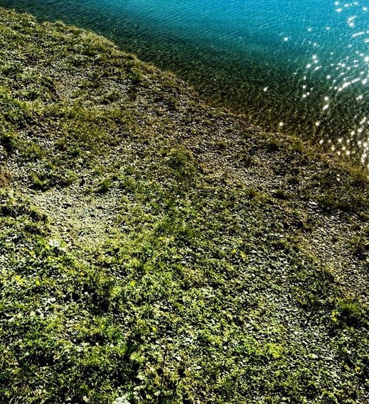 催眠APP怎么操作