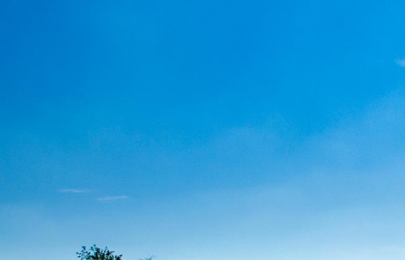 粉象生活能赚到钱吗