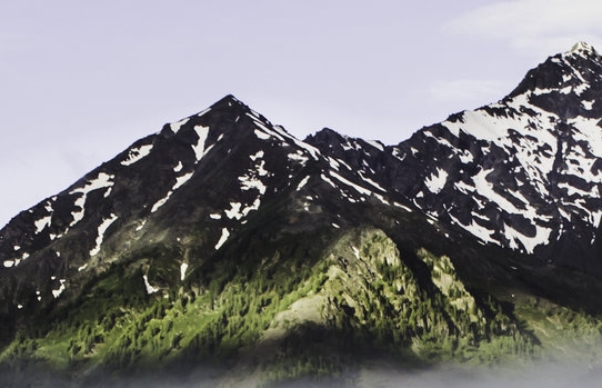 惠州粉象生活如何使用