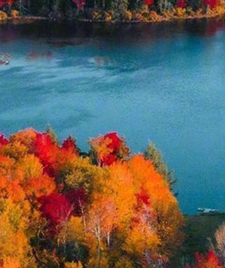 粉象生活自动发货