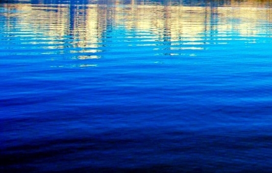 粉象生活怎么赚钱