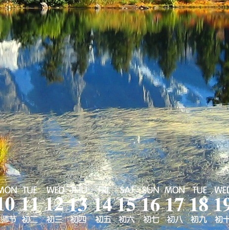 社交电商好做吗