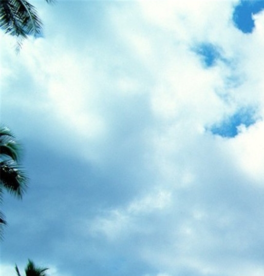 河南运营粉象生活app