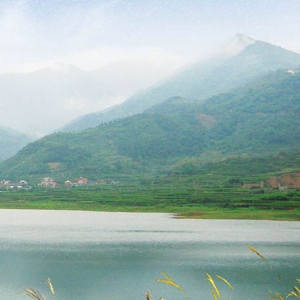 粉象生活可以赚钱吗