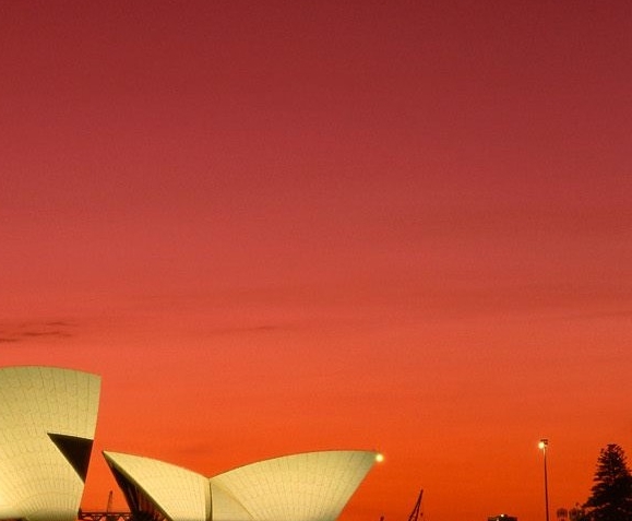 芋头别跑生活号