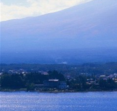 粉象生活粉丝怎么增加