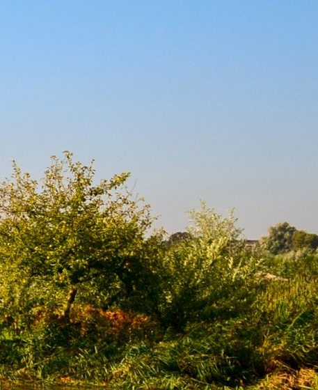 粉象生活能赚到钱吗