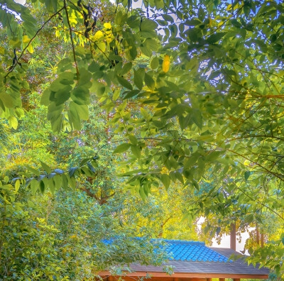 粉象生活购物好吗