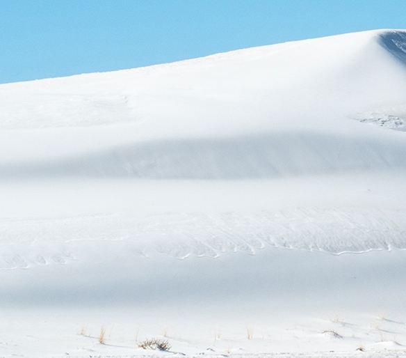 和生活爱辽宁怎么无法登录
