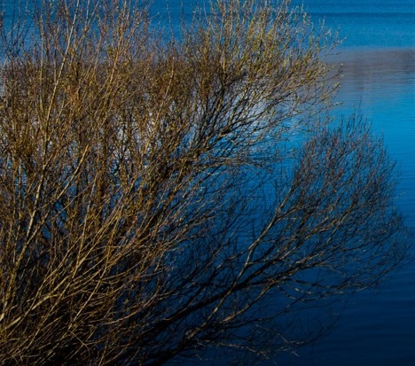 小便象洗衣粉泡沫是什么情况