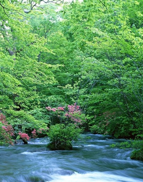 粉象生活官网邀请码