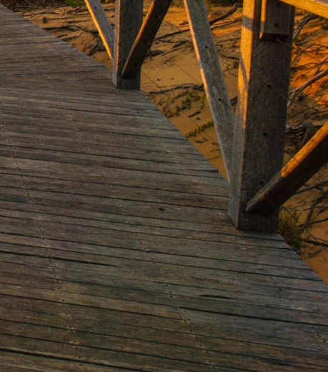 粉象生活邀请人怎么看