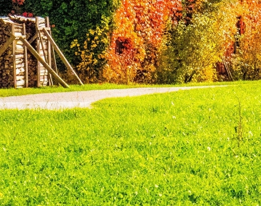 怎么登陆谷歌账号