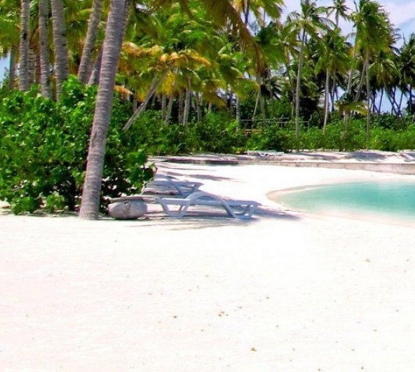 粉象生活能赚到钱吗