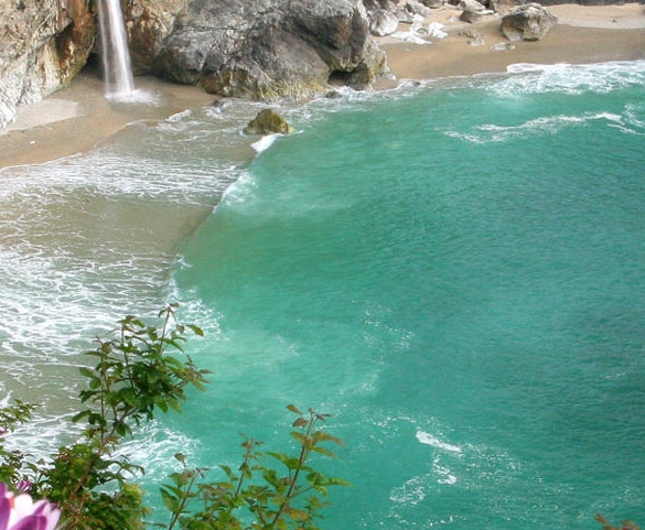 粉象生活需要买手机吗