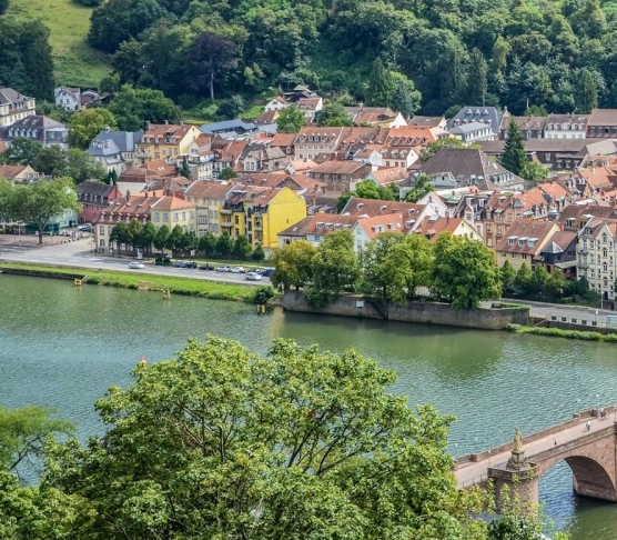 粉象生活如何看客户信息