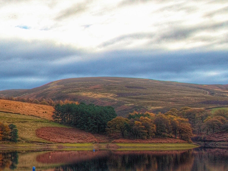粉象生活骗局大揭秘