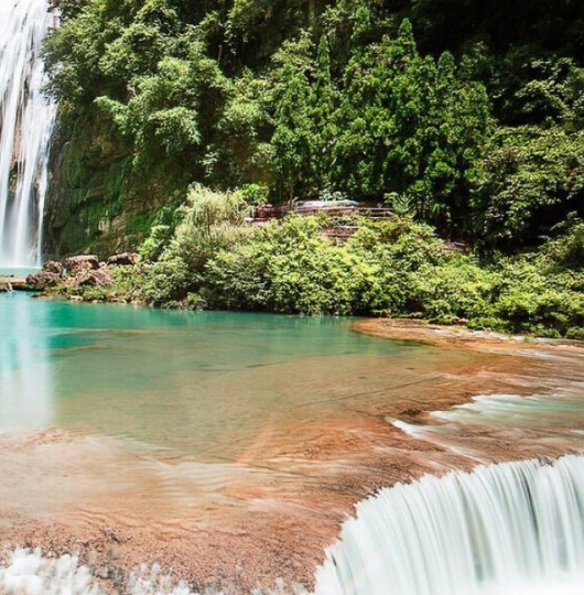 粉象生活下载app