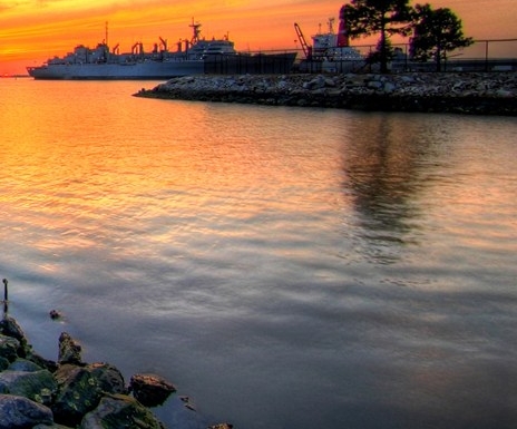 粉象生活邀请码