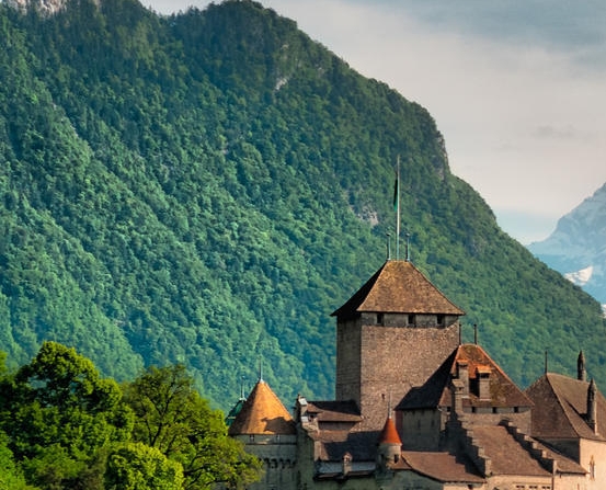 粉象生活粉丝怎么增加