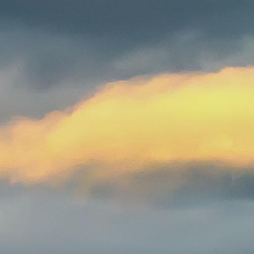 粉象生活怎么赚钱