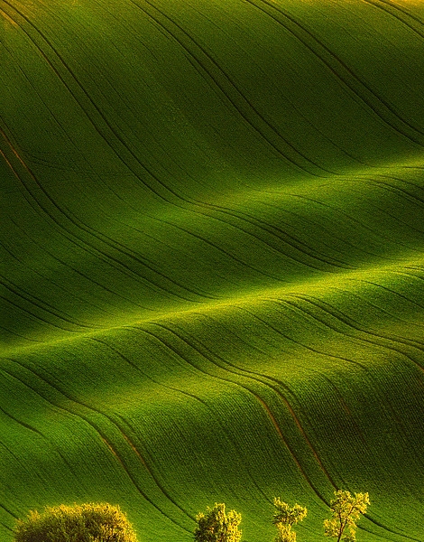 粉象生活升级后大概几天才看到收入