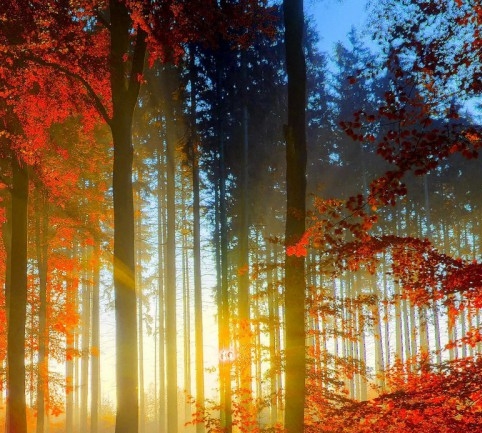 塔象互娱封神世界领红包